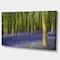 Designart - Bluebell Woods in Oxfordshire - Landscape Canvas Art Print